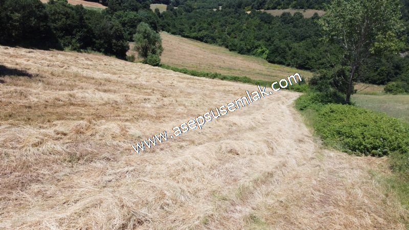 10.008 m2 Yatırımlık Tarla Bağ-Bahçe Su Çeşme Var. Yolu Yok.