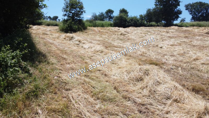 10.008 m2 Yatırımlık Tarla Bağ-Bahçe Su Çeşme Var. Yolu Yok.
