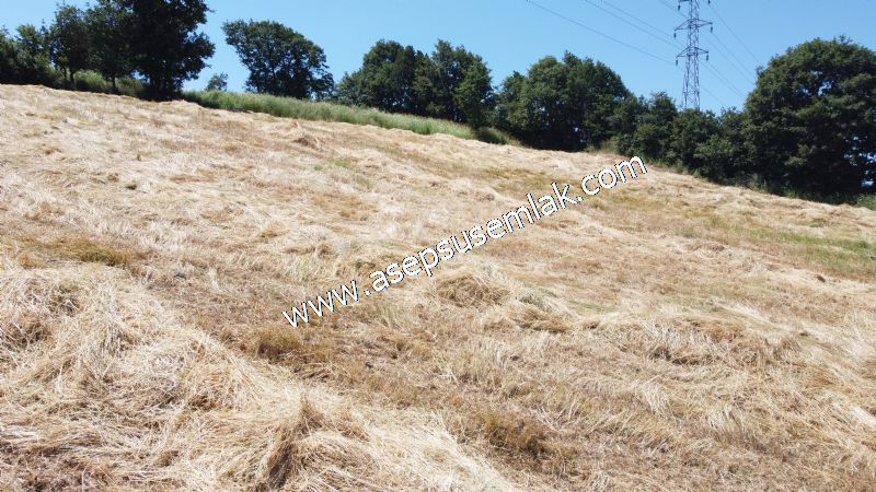 10.008 m2 Yatırımlık Tarla Bağ-Bahçe Su Çeşme Var. Yolu Yok.