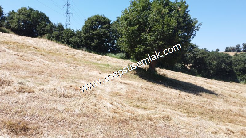 10.008 m2 Yatırımlık Tarla Bağ-Bahçe Su Çeşme Var. Yolu Yok.