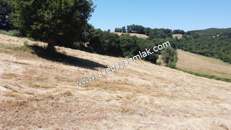 10.008 m2 Yatırımlık Tarla Bağ-Bahçe Su Çeşme Var. Yolu Yok.