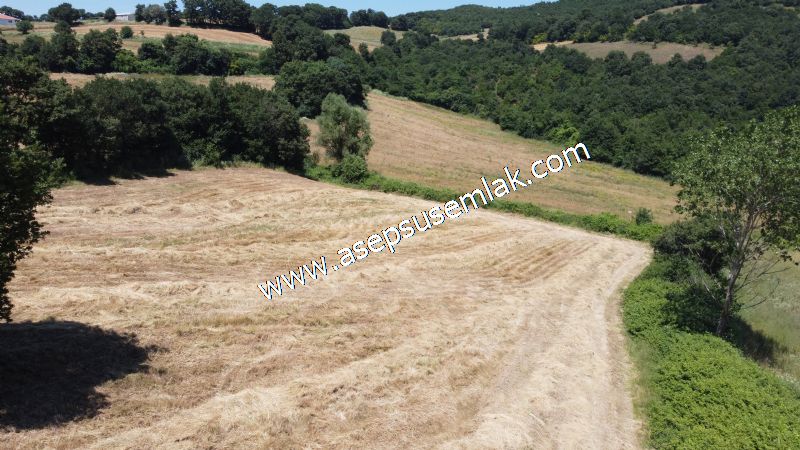 10.008 m2 Yatırımlık Tarla Bağ-Bahçe Su Çeşme Var. Yolu Yok.