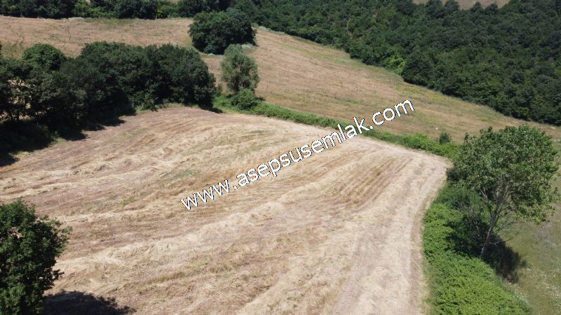 10.008 m2 Yatırımlık Tarla Bağ-Bahçe Su Çeşme Var. Yolu Yok.