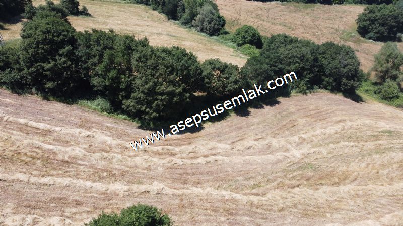 10.008 m2 Yatırımlık Tarla Bağ-Bahçe Su Çeşme Var. Yolu Yok.