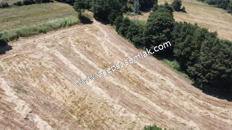 10.008 m2 Yatırımlık Tarla Bağ-Bahçe Su Çeşme Var. Yolu Yok.
