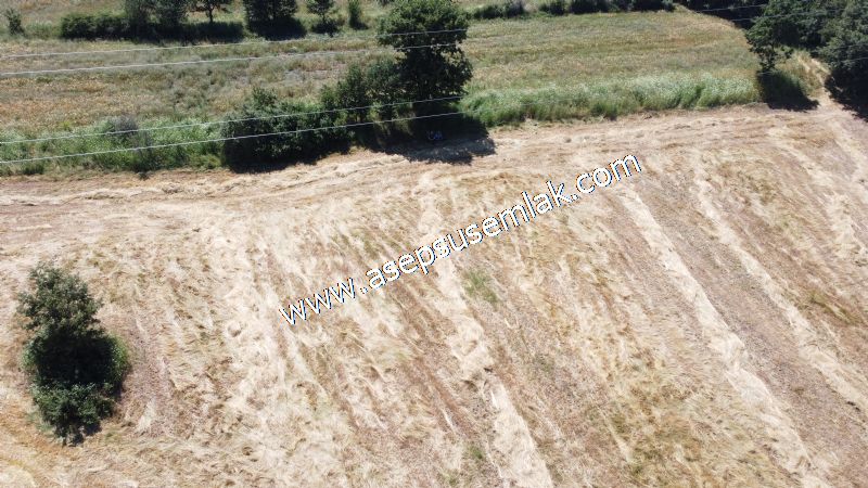 10.008 m2 Yatırımlık Tarla Bağ-Bahçe Su Çeşme Var. Yolu Yok.
