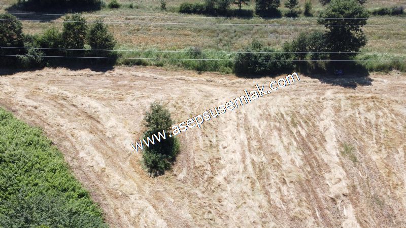 10.008 m2 Yatırımlık Tarla Bağ-Bahçe Su Çeşme Var. Yolu Yok.