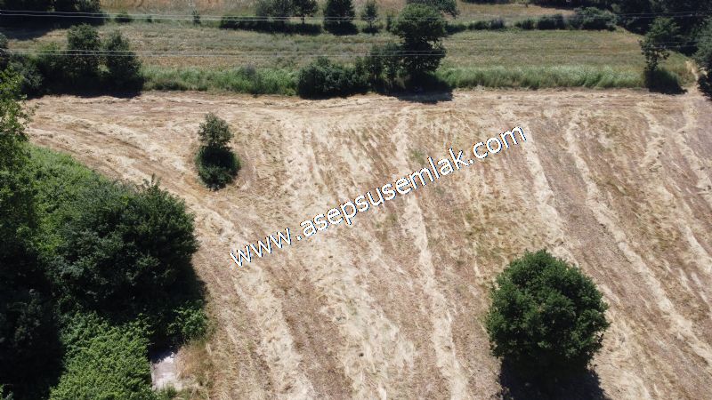 10.008 m2 Yatırımlık Tarla Bağ-Bahçe Su Çeşme Var. Yolu Yok.