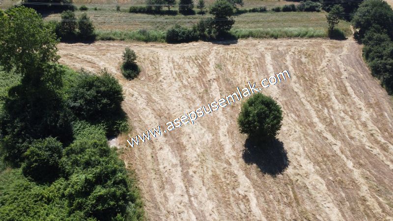 10.008 m2 Yatırımlık Tarla Bağ-Bahçe Su Çeşme Var. Yolu Yok.
