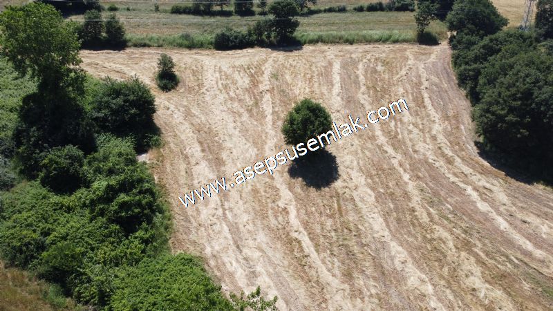 10.008 m2 Yatırımlık Tarla Bağ-Bahçe Su Çeşme Var. Yolu Yok.