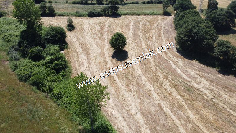 10.008 m2 Yatırımlık Tarla Bağ-Bahçe Su Çeşme Var. Yolu Yok.