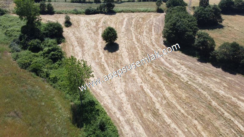 10.008 m2 Yatırımlık Tarla Bağ-Bahçe Su Çeşme Var. Yolu Yok.