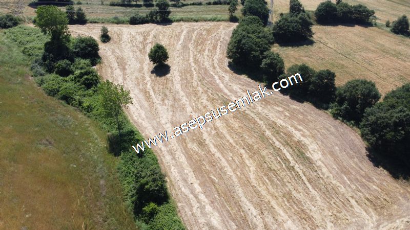 10.008 m2 Yatırımlık Tarla Bağ-Bahçe Su Çeşme Var. Yolu Yok.
