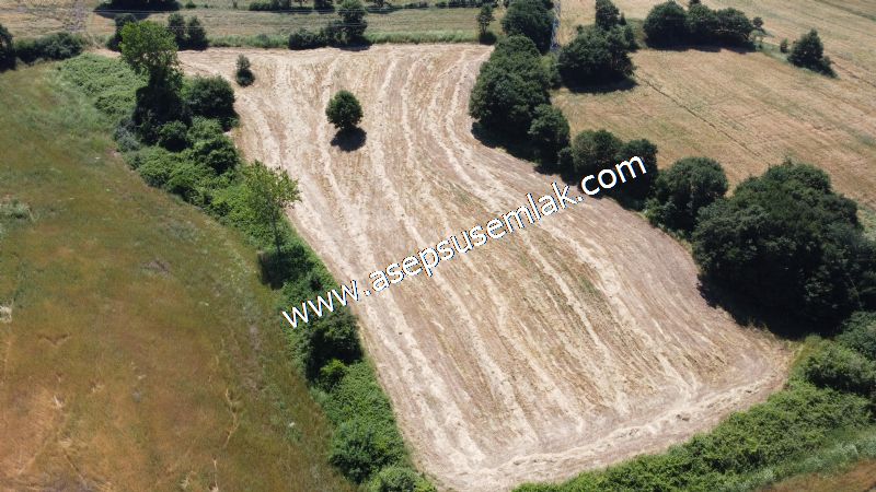 10.008 m2 Yatırımlık Tarla Bağ-Bahçe Su Çeşme Var. Yolu Yok.