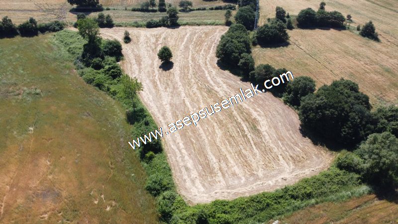 10.008 m2 Yatırımlık Tarla Bağ-Bahçe Su Çeşme Var. Yolu Yok.