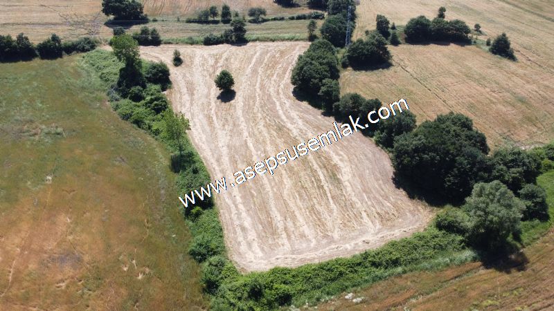 10.008 m2 Yatırımlık Tarla Bağ-Bahçe Su Çeşme Var. Yolu Yok.