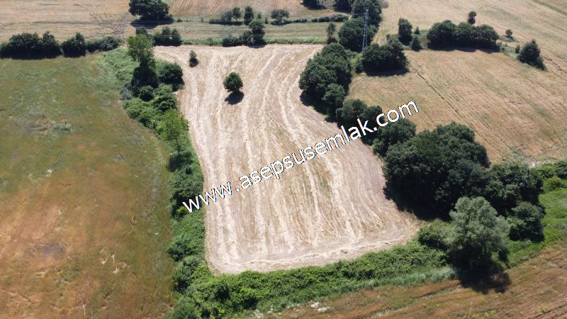 10.008 m2 Yatırımlık Tarla Bağ-Bahçe Su Çeşme Var. Yolu Yok.
