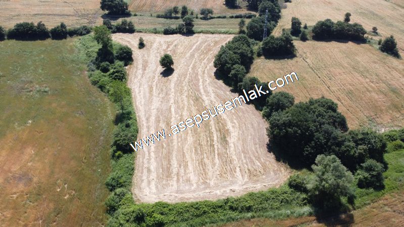 10.008 m2 Yatırımlık Tarla Bağ-Bahçe Su Çeşme Var. Yolu Yok.