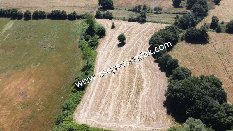 10.008 m2 Yatırımlık Tarla Bağ-Bahçe Su Çeşme Var. Yolu Yok.