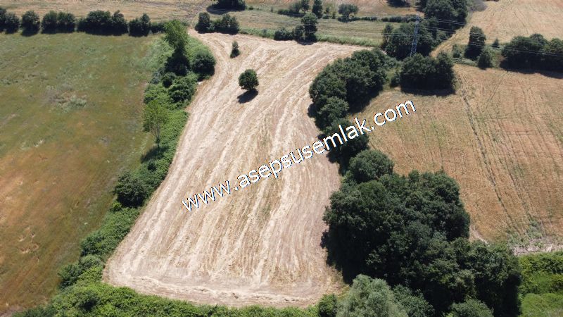 10.008 m2 Yatırımlık Tarla Bağ-Bahçe Su Çeşme Var. Yolu Yok.