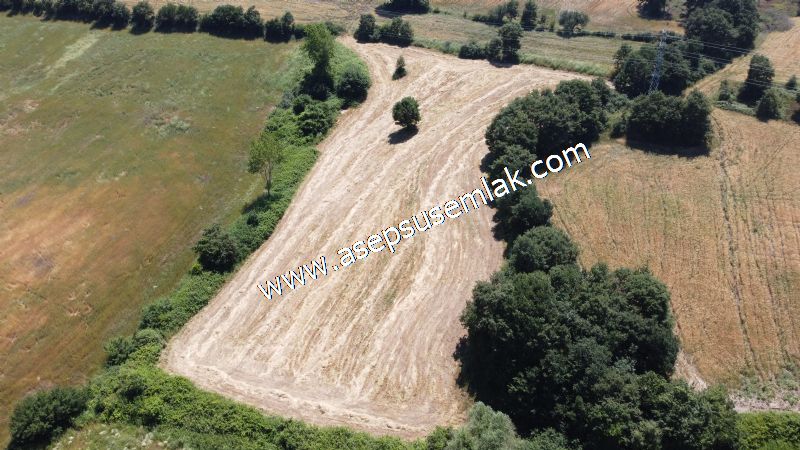 10.008 m2 Yatırımlık Tarla Bağ-Bahçe Su Çeşme Var. Yolu Yok.