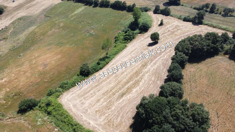 10.008 m2 Yatırımlık Tarla Bağ-Bahçe Su Çeşme Var. Yolu Yok.