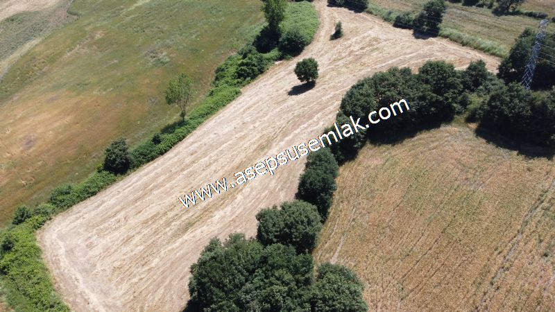 10.008 m2 Yatırımlık Tarla Bağ-Bahçe Su Çeşme Var. Yolu Yok.