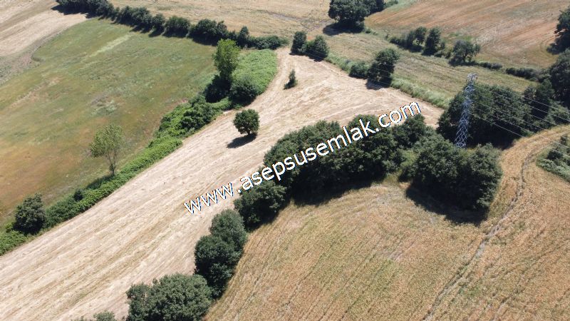 10.008 m2 Yatırımlık Tarla Bağ-Bahçe Su Çeşme Var. Yolu Yok.