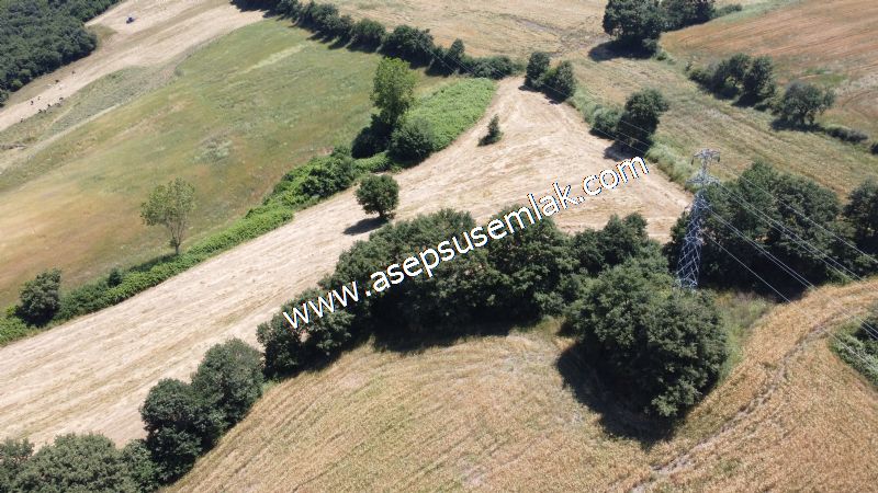 10.008 m2 Yatırımlık Tarla Bağ-Bahçe Su Çeşme Var. Yolu Yok.