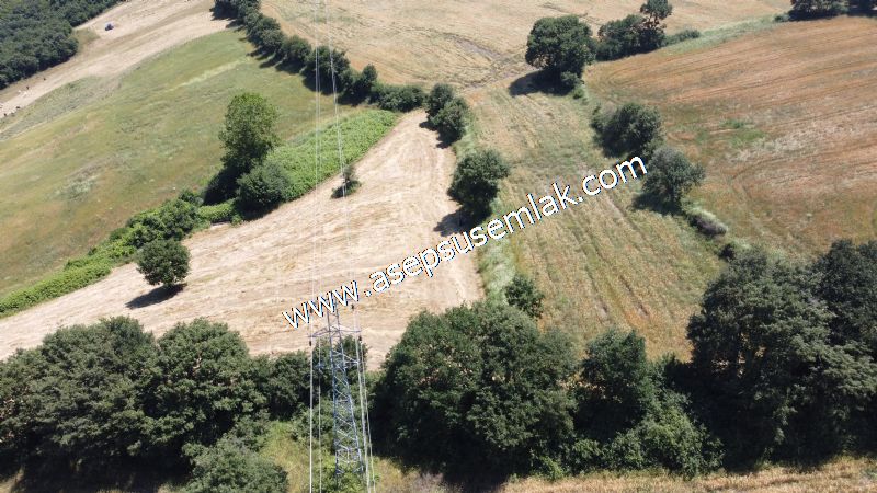 10.008 m2 Yatırımlık Tarla Bağ-Bahçe Su Çeşme Var. Yolu Yok.
