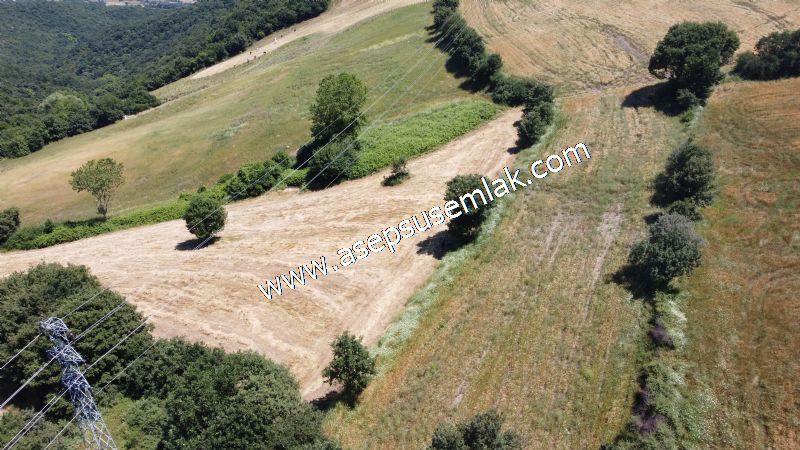 10.008 m2 Yatırımlık Tarla Bağ-Bahçe Su Çeşme Var. Yolu Yok.