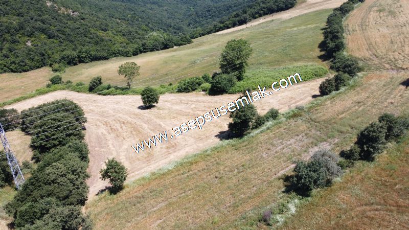 10.008 m2 Yatırımlık Tarla Bağ-Bahçe Su Çeşme Var. Yolu Yok.