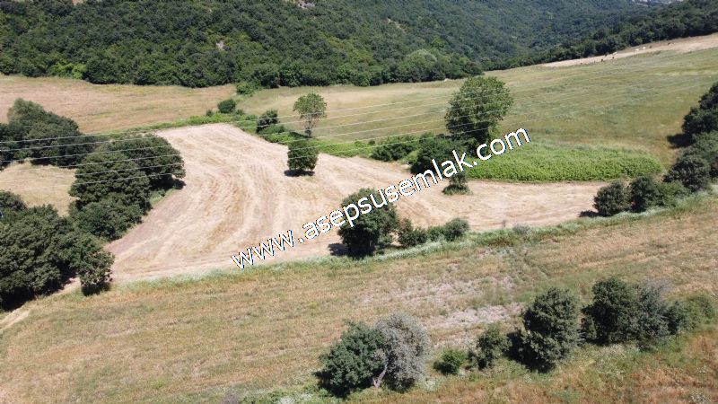 10.008 m2 Yatırımlık Tarla Bağ-Bahçe Su Çeşme Var. Yolu Yok.