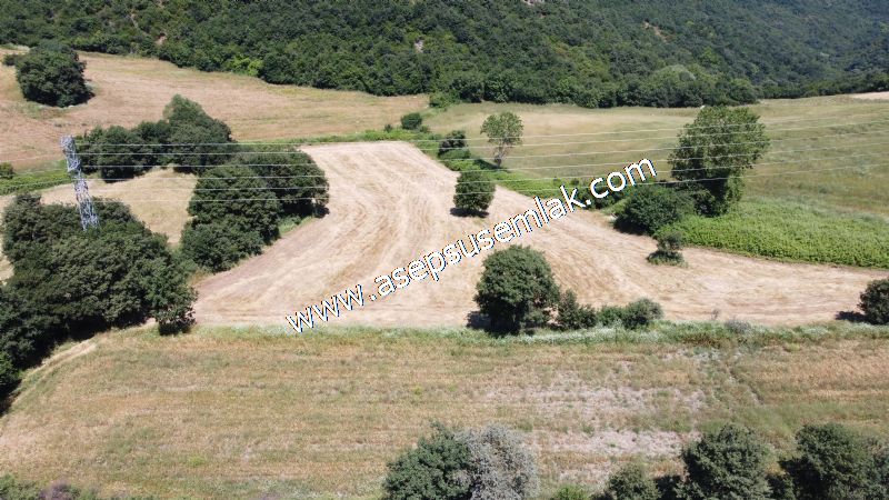 10.008 m2 Yatırımlık Tarla Bağ-Bahçe Su Çeşme Var. Yolu Yok.