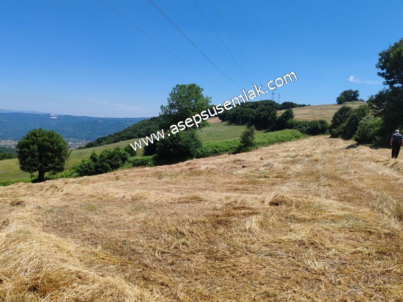 10.008 m2 Yatırımlık Tarla Bağ-Bahçe Su Çeşme Var. Yolu Yok.