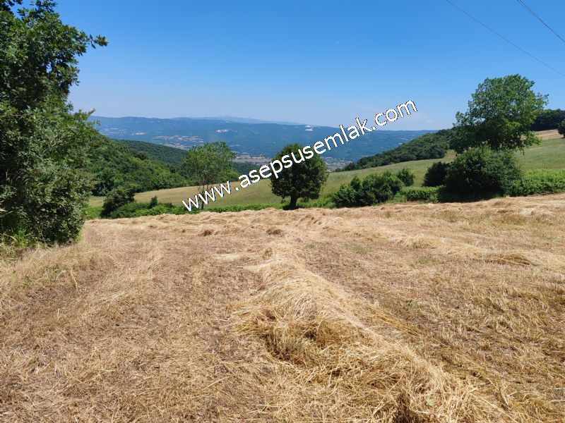 10.008 m2 Yatırımlık Tarla Bağ-Bahçe Su Çeşme Var. Yolu Yok.