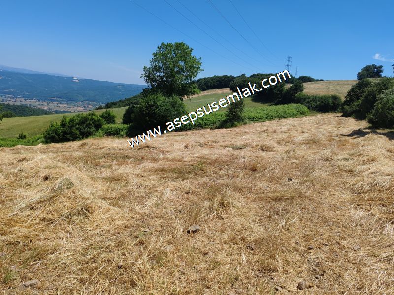 10.008 m2 Yatırımlık Tarla Bağ-Bahçe Su Çeşme Var. Yolu Yok.