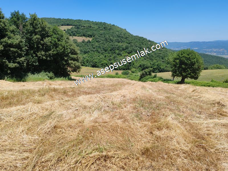 10.008 m2 Yatırımlık Tarla Bağ-Bahçe Su Çeşme Var. Yolu Yok.