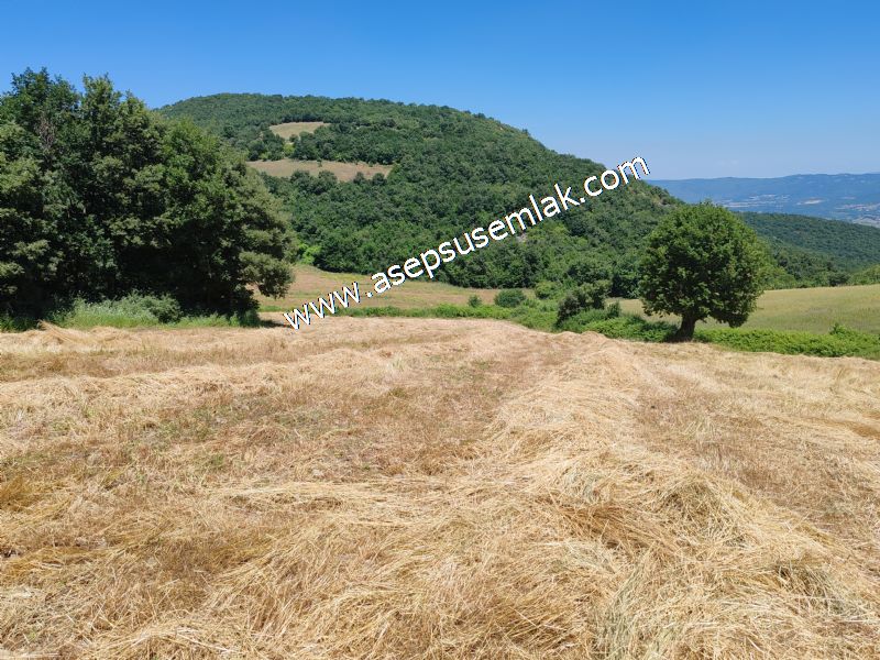 10.008 m2 Yatırımlık Tarla Bağ-Bahçe Su Çeşme Var. Yolu Yok.