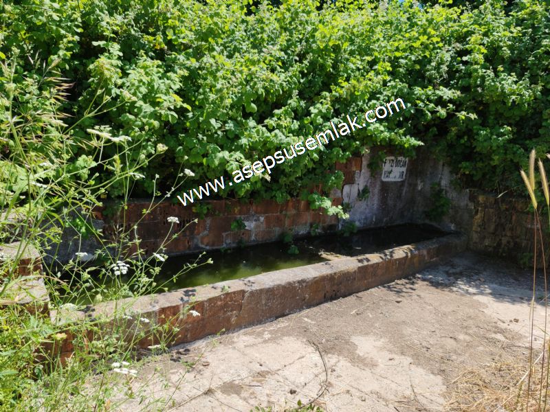 10.008 m2 Yatırımlık Tarla Bağ-Bahçe Su Çeşme Var. Yolu Yok.
