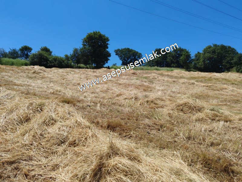 10.008 m2 Yatırımlık Tarla Bağ-Bahçe Su Çeşme Var. Yolu Yok.