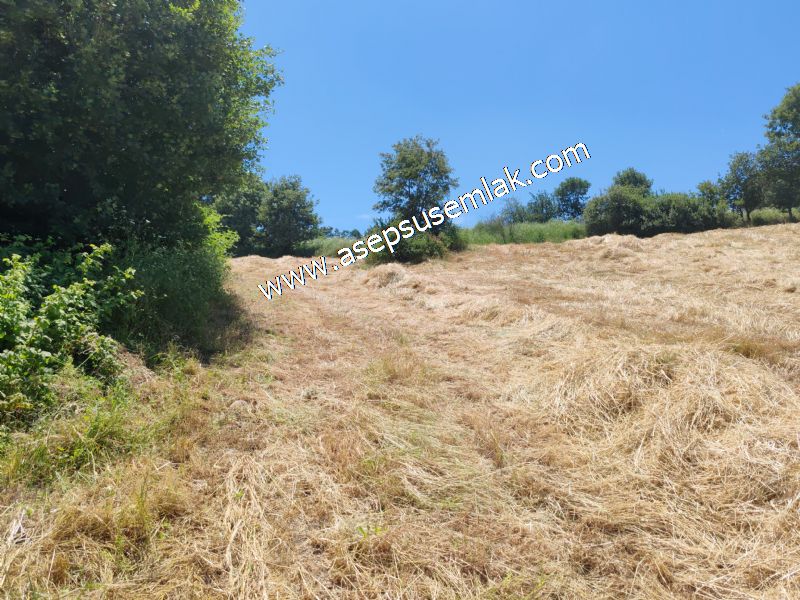 10.008 m2 Yatırımlık Tarla Bağ-Bahçe Su Çeşme Var. Yolu Yok.