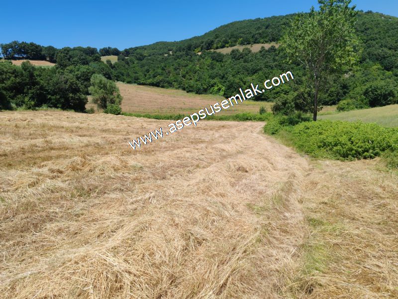 10.008 m2 Yatırımlık Tarla Bağ-Bahçe Su Çeşme Var. Yolu Yok.