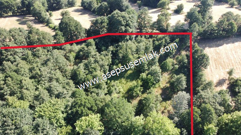 5.000 m2 Resmi Kadastro Yola & Orman Cepheli Hobi Bağ-Bahçesi