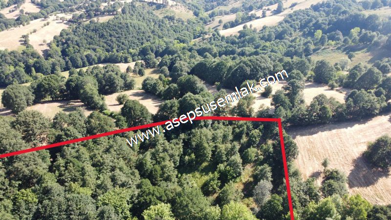 5.000 m2 Resmi Kadastro Yola & Orman Cepheli Hobi Bağ-Bahçesi