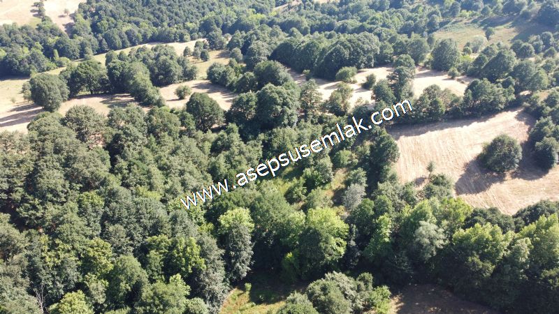5.000 m2 Resmi Kadastro Yola & Orman Cepheli Hobi Bağ-Bahçesi