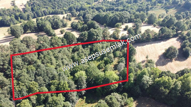 5.000 m2 Resmi Kadastro Yola & Orman Cepheli Hobi Bağ-Bahçesi