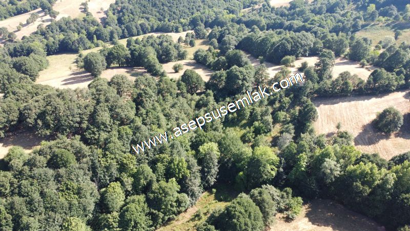 5.000 m2 Resmi Kadastro Yola & Orman Cepheli Hobi Bağ-Bahçesi