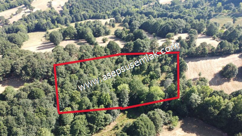 5.000 m2 Resmi Kadastro Yola & Orman Cepheli Hobi Bağ-Bahçesi