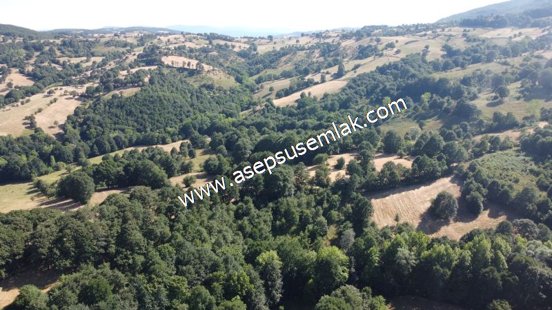 5.000 m2 Resmi Kadastro Yola & Orman Cepheli Hobi Bağ-Bahçesi
